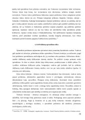 AB "Lietuvos draudimas" vadovo darbo privalumai ir trūkumai 20 puslapis