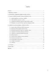 Imonės veiklos efektyvumo planavimas  2 puslapis