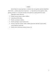 Imonės veiklos efektyvumo planavimas  3 puslapis