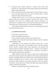 Vadovų ir vadybininkų kompetencija 19 puslapis