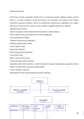 UAB "Statoil Lietuva" įmonės vizijos misijos formavimas 18 puslapis
