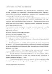 UAB "Statoil Lietuva" įmonės vizijos misijos formavimas 3 puslapis