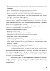 UAB "Statoil Lietuva" įmonės vizijos misijos formavimas 4 puslapis