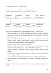 UAB "Statoil Lietuva" įmonės vizijos misijos formavimas 5 puslapis