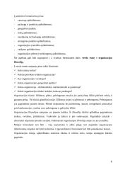 UAB "Statoil Lietuva" įmonės vizijos misijos formavimas 8 puslapis