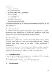 UAB "Statoil Lietuva" įmonės vizijos misijos formavimas 10 puslapis