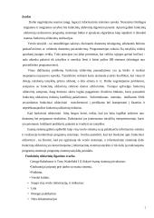 Funkcinių uždavinių informacinių modelių tyrimas  2 puslapis