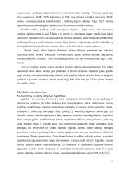 Funkcinių uždavinių informacinių modelių tyrimas  11 puslapis