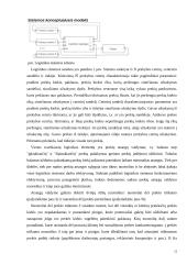 Funkcinių uždavinių informacinių modelių tyrimas  12 puslapis