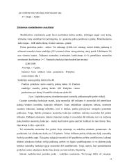 Funkcinių uždavinių informacinių modelių tyrimas  14 puslapis