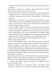 Funkcinių uždavinių informacinių modelių tyrimas  18 puslapis