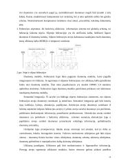 Funkcinių uždavinių informacinių modelių tyrimas  19 puslapis