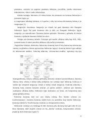 Funkcinių uždavinių informacinių modelių tyrimas  20 puslapis