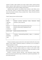 Funkcinių uždavinių informacinių modelių tyrimas  5 puslapis