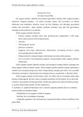 IP tinklo aktyviosios saugos stebėsenos analizė 17 puslapis