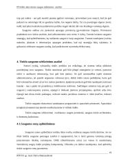 IP tinklo aktyviosios saugos stebėsenos analizė 19 puslapis