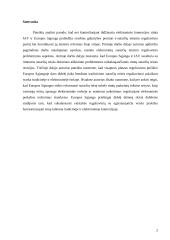 Elektroninių sutarčių reglamentavimo perspektyvų Europos Sąjungoje ir JAV lyginamoji analizė 2 puslapis