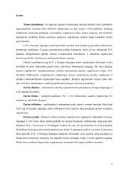 Elektroninių sutarčių reglamentavimo perspektyvų Europos Sąjungoje ir JAV lyginamoji analizė 4 puslapis