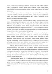 Elektroninių sutarčių reglamentavimo perspektyvų Europos Sąjungoje ir JAV lyginamoji analizė 10 puslapis