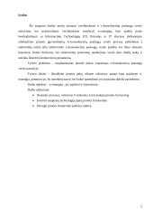 E-strategija, jos aspektai ir formavimas 2 puslapis