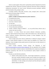 E-strategija, jos aspektai ir formavimas 11 puslapis