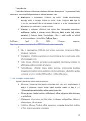 E-strategija, jos aspektai ir formavimas 14 puslapis