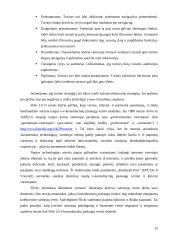 E-strategija, jos aspektai ir formavimas 15 puslapis