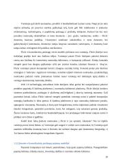 E-strategija, jos aspektai ir formavimas 18 puslapis