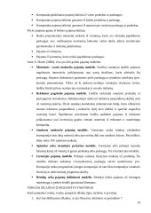 E-strategija, jos aspektai ir formavimas 19 puslapis