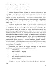 E-strategija, jos aspektai ir formavimas 3 puslapis