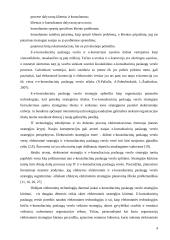 E-strategija, jos aspektai ir formavimas 4 puslapis