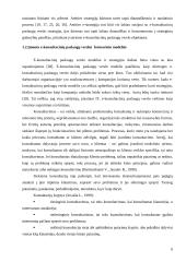 E-strategija, jos aspektai ir formavimas 6 puslapis