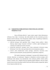 Elektroninės informacijos prieigos tendencijos ir ateitis bibliotekoje 13 puslapis