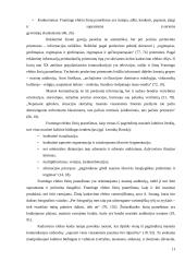 Flaiming efektai žiniose 11 puslapis