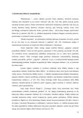 Flaiming efektai žiniose 15 puslapis