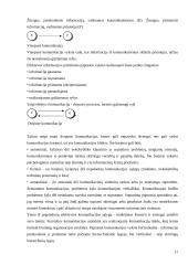 Flaiming efektai žiniose 17 puslapis
