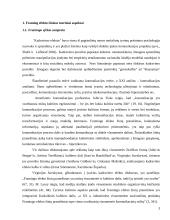 Flaiming efektai žiniose 3 puslapis