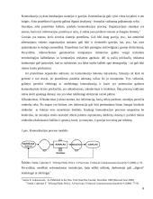 Flaimingo efekto įtaka visuomenės žinojimui 6 puslapis