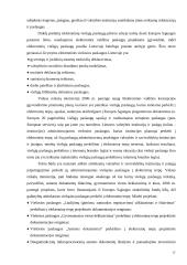 Informacinės visuomenės Lietuvoje viešoji politika 12 puslapis