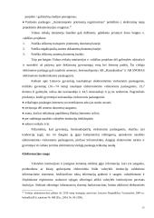 Informacinės visuomenės Lietuvoje viešoji politika 13 puslapis