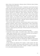 Objektinis projektavimas - sistemų projektavimas, naudojant savarankiškus objektus ir objektų klases 11 puslapis