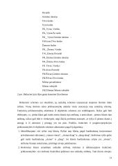 Objektinis projektavimas - sistemų projektavimas, naudojant savarankiškus objektus ir objektų klases 13 puslapis