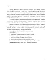 Komunikacijos kokybės vertinimas įmonėje 2 puslapis