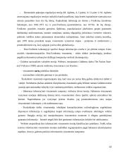 Pilietinės informacinės visuomenės samprata 12 puslapis