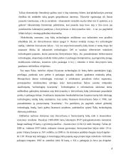 Pilietinės informacinės visuomenės samprata 4 puslapis