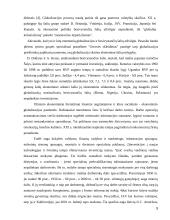 Pilietinės informacinės visuomenės samprata 5 puslapis