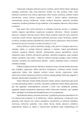 Teisinės sistemos organizacijų strateginis valdymas 13 puslapis