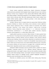 Teisinės sistemos organizacijų strateginis valdymas 4 puslapis