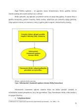 Viešajame transporte diegiamų elektroninių priemonių įtaka informacinės visuomenės ugdymui. Magistro darbas 19 puslapis