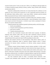 Įmonės veiklos analizė, priežastys ir veiksniai 16 puslapis